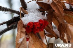 Синоптики рассказали, какая погода будет в Тюмени до конца октября